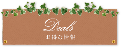 お得な情報